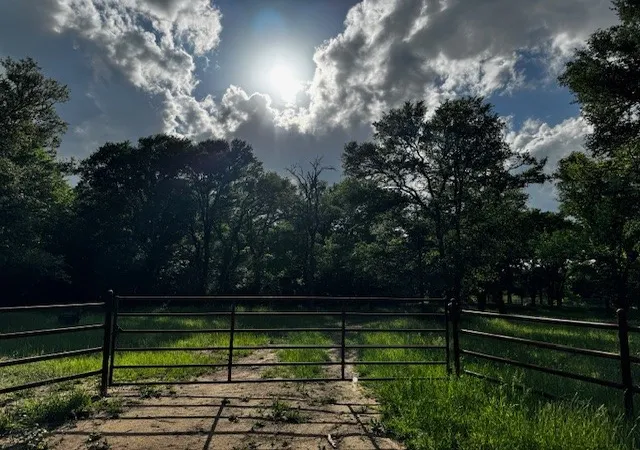 Photo 2 of Land for sale at Tbd Cr 1000 County Road 1000 Road, Wortham, TX 76693 | MLS# 21245318 | Listing updated on 2026-08-07