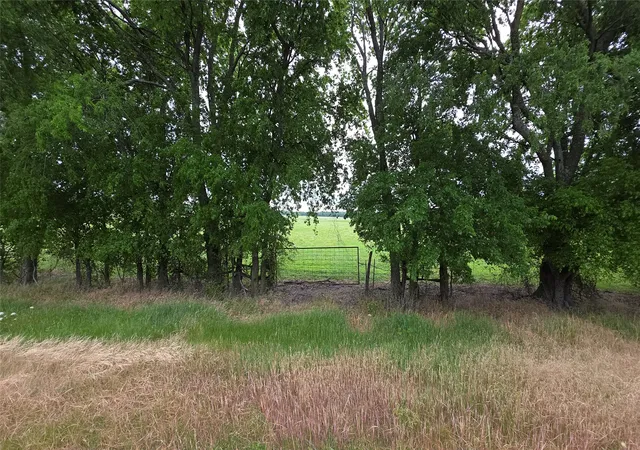 Photo 2 of Land for sale at 0000 Fm 272, Celeste, TX 75452 | MLS# 21239014 | Listing updated on 2026-09-25