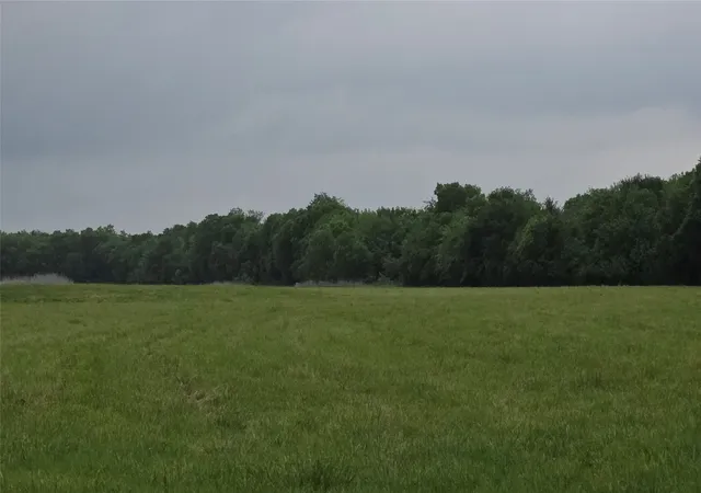 Photo 3 of Land for sale at 0000 Fm 272, Celeste, TX 75452 | MLS# 21239014 | Listing updated on 2026-09-25