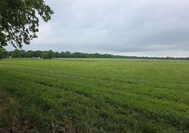 Photo 3 of Land for sale at 0000 Fm 272, Celeste, TX 75452 | MLS# 21239014 | Listing updated on 2026-09-25