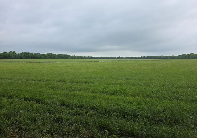 Photo 4 of Land for sale at 0000 Fm 272, Celeste, TX 75452 | MLS# 21239014 | Listing updated on 2026-09-25