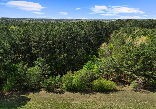 Photo 3 of Land for sale at 3327 Fm 2751, Longview, TX 75605 | MLS# 21249793 | Listing updated on 2026-09-24