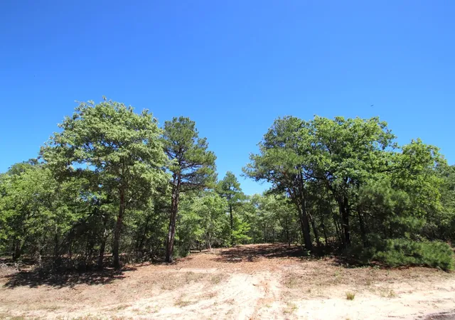 Photo 2 of Land for sale at Tbd Cr 4552, Winnsboro, TX 75494 | MLS# 21242821 | Listing updated on 2026-08-24