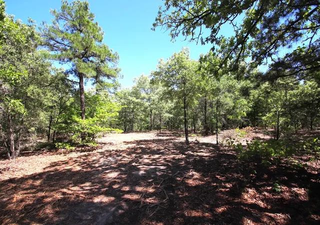 Photo 3 of Land for sale at Tbd Cr 4552, Winnsboro, TX 75494 | MLS# 21242821 | Listing updated on 2026-08-24