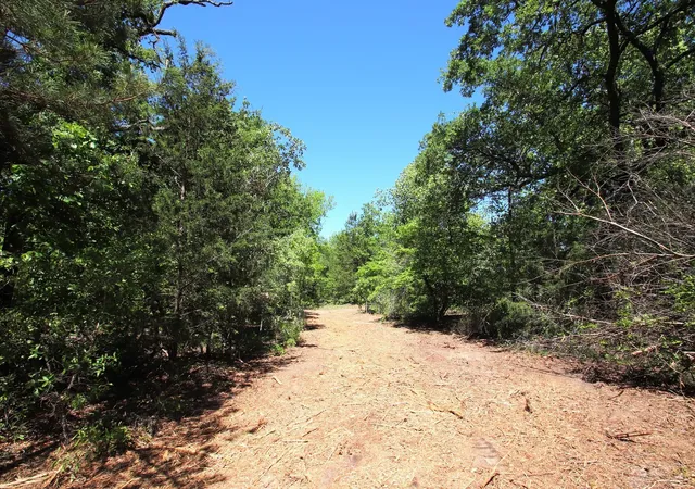 Photo 3 of Land for sale at Tbd Cr 4552, Winnsboro, TX 75494 | MLS# 21242821 | Listing updated on 2026-08-24