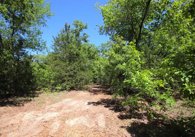 Photo 4 of Land for sale at Tbd Cr 4552, Winnsboro, TX 75494 | MLS# 21242821 | Listing updated on 2026-08-24