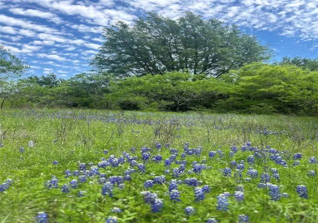 Photo 3 of Land for sale at Tbd Private Road 190, Blum, TX 76627 | MLS# 21250606 | Listing updated on 2026-07-11