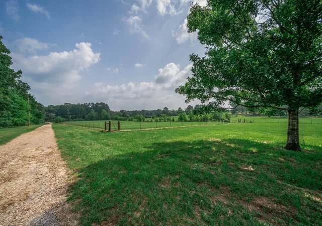 Homes for sale in Diana, TX | 3460 Hawk Rd, Diana, TX 75640 | MLS# 21251087
