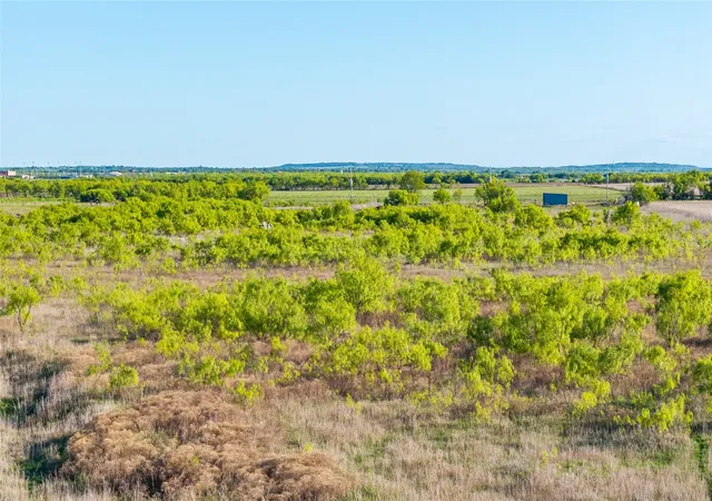 Photo 3 of Land for sale at Tbd1 County Road 250, Clyde, TX 79510 | MLS# 21251531 | Listing updated on 2026-09-30