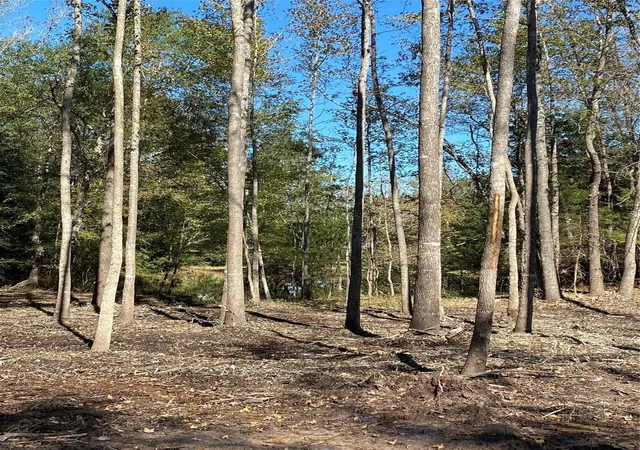 Photo 4 of Land for sale at Tbd Pr 8903, Athens, TX 75752 | MLS# 21252299 | Listing updated on 2026-07-09
