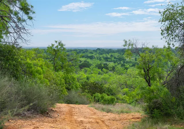 Homes for sale in Mullin, TX | 182 County Road 430, Mullin, TX 76864 | MLS# 21248780