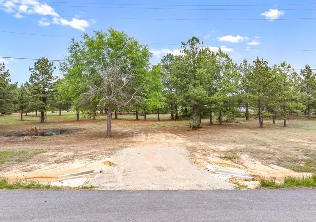 Homes for sale in Alba, TX | 00 Hwy 69, Alba, TX 75410 | MLS# 21240113