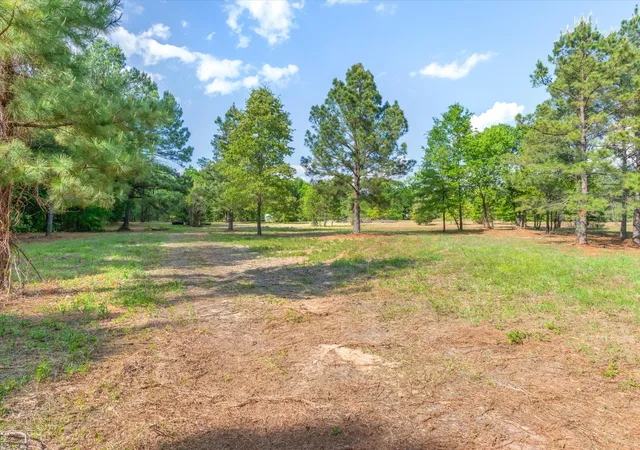 Photo 3 of Land for sale at 00 Hwy 69, Alba, TX 75410 | MLS# 21240113 | Listing updated on 2026-07-22
