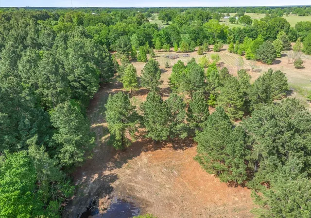 Photo 3 of Land for sale at 00 Hwy 69, Alba, TX 75410 | MLS# 21240113 | Listing updated on 2026-07-22