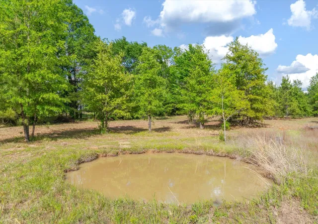 Photo 4 of Land for sale at 00 Hwy 69, Alba, TX 75410 | MLS# 21240113 | Listing updated on 2026-07-22