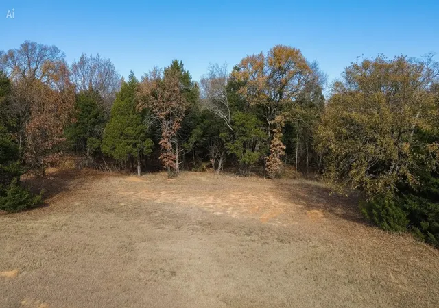 Photo 3 of Land for sale at N/a Oakmont Ct, Gordonville, TX 76245 | MLS# 21253171 | Listing updated on 2026-08-04