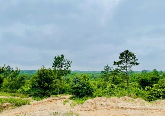 Homes for sale in Mineola, TX | 2665 County Road 3940, Mineola, TX 75773 | MLS# 21253176