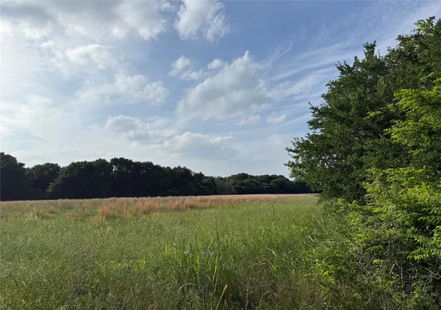 Homes for sale in Kemp, TX | Lot 1 County Road 4072, Kemp, TX 75143 | MLS# 21253365