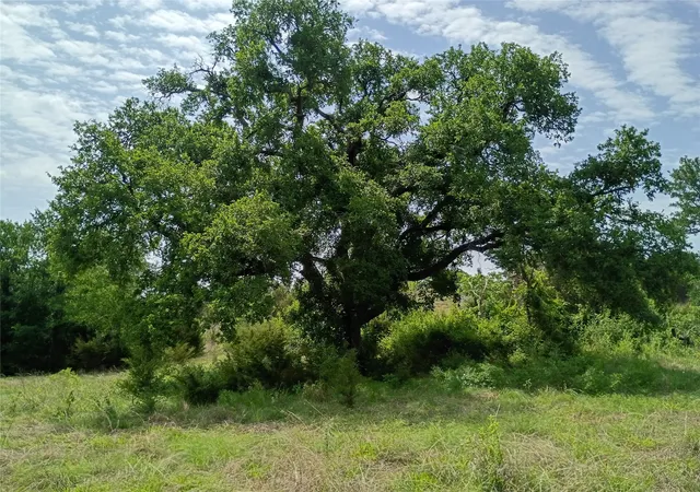 Photo 3 of Land for sale at Tbd Pr 2901 (track S4), Hamilton, TX 76531 | MLS# 21252789 | Listing updated on 2026-07-07