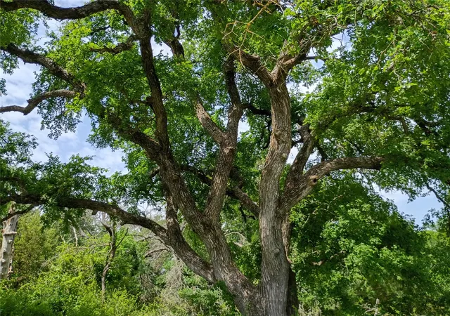 Photo 3 of Land for sale at Tbd Pr 2901 (Track S4), Hamilton, TX 76531 | MLS# 21252789 | Listing updated on 2026-07-07