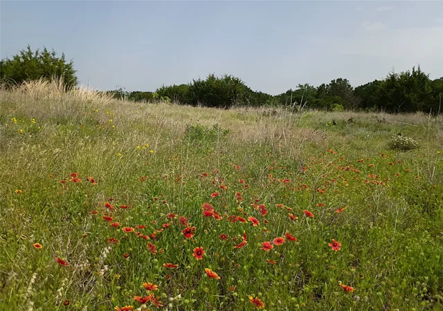 Photo 4 of Land for sale at Tbd Pr 2901 (Track S4), Hamilton, TX 76531 | MLS# 21252789 | Listing updated on 2026-07-07