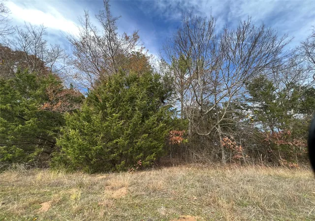 Photo 2 of Land for sale at Tbd State Hwy 64, Ben Wheeler, TX 75754 | MLS# 21254131 | Listing updated on 2026-08-26