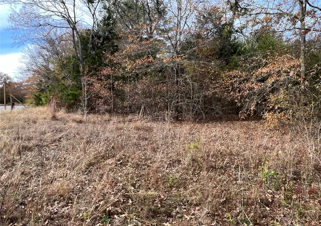 Photo 3 of Land for sale at Tbd State Hwy 64, Ben Wheeler, TX 75754 | MLS# 21254131 | Listing updated on 2026-08-26