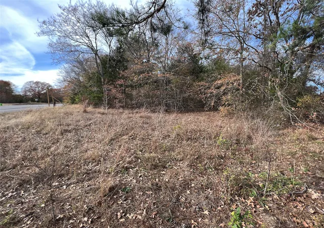 Photo 3 of Land for sale at Tbd State Hwy 64, Ben Wheeler, TX 75754 | MLS# 21254131 | Listing updated on 2026-08-26