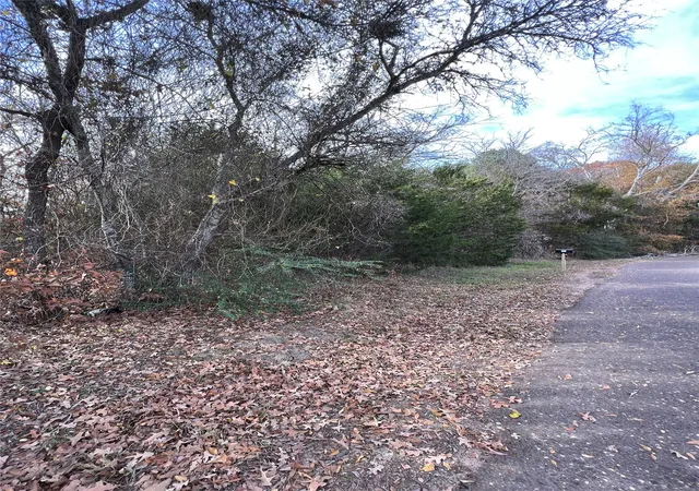 Photo 4 of Land for sale at Tbd State Hwy 64, Ben Wheeler, TX 75754 | MLS# 21254131 | Listing updated on 2026-08-26