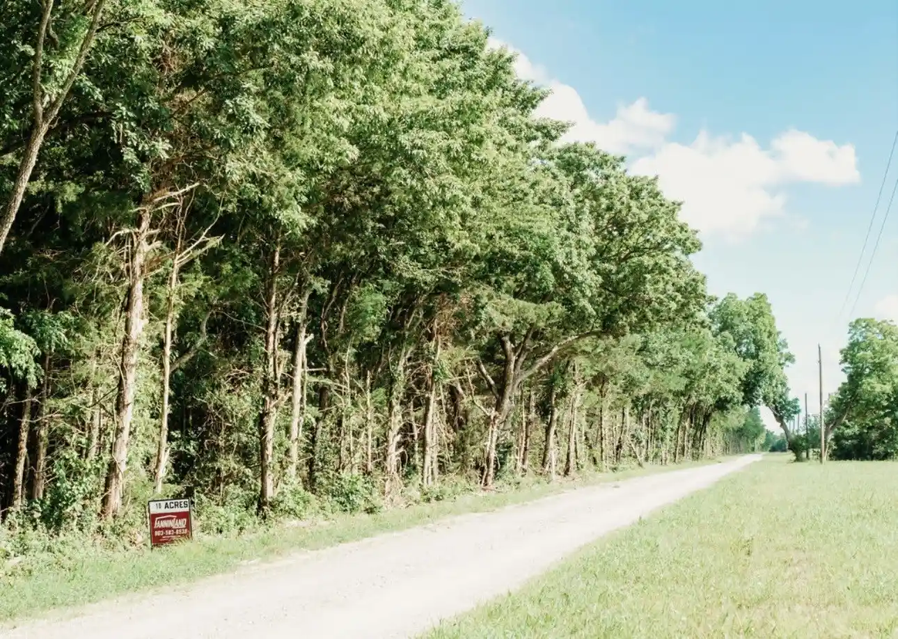 Photo 1 of Land for sale at Tbd Cr 2975, Honey Grove, TX 75446 | MLS# 21254519 | Listing updated on 2026-10-21