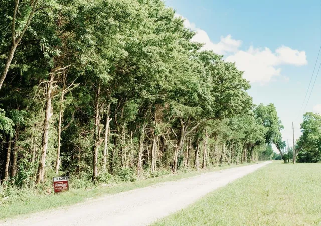 Photo 1 of Land for sale at Tbd Cr 2975, Honey Grove, TX 75446 | MLS# 21254519 | Listing updated on 2026-08-22