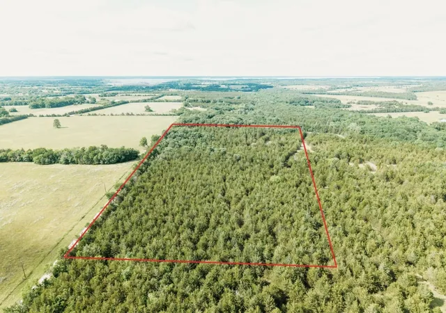 Homes for sale in Honey Grove, TX | Tbd Cr 2975, Honey Grove, TX 75446 | MLS# 21254519
