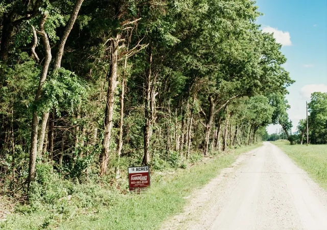 Photo 2 of Land for sale at Tbd Cr 2975, Honey Grove, TX 75446 | MLS# 21254519 | Listing updated on 2026-08-22