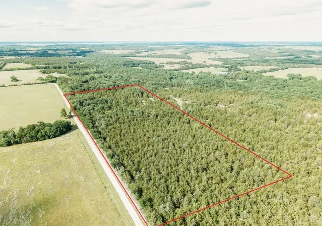 Photo 3 of Land for sale at Tbd Cr 2975, Honey Grove, TX 75446 | MLS# 21254519 | Listing updated on 2026-08-22