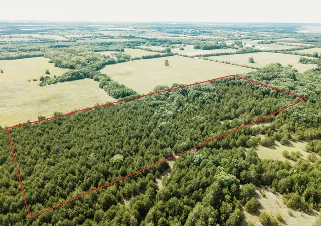 Homes for sale in Honey Grove, TX | Tbd Cr 2975, Honey Grove, TX 75446 | MLS# 21254519