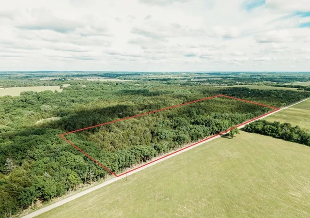 Homes for sale in Honey Grove, TX | Tbd Cr 2975, Honey Grove, TX 75446 | MLS# 21254519
