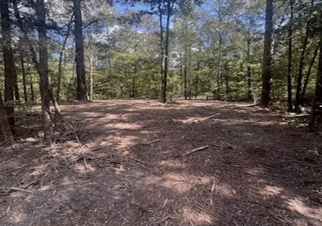 Homes for sale in Gilmer, TX | 10 Acres Fm 852, Gilmer, TX 75644 | MLS# 21254569