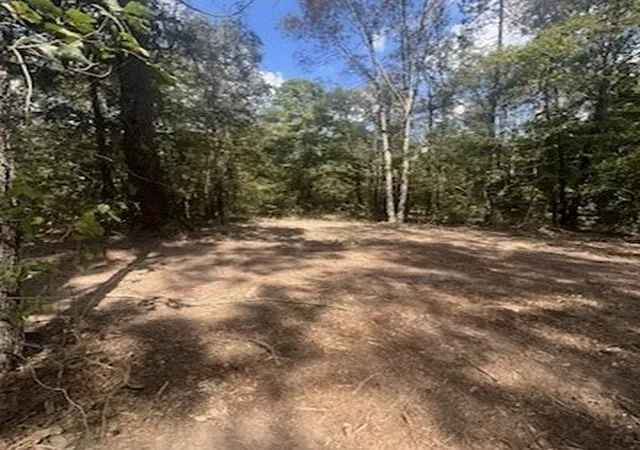 Homes for sale in Gilmer, TX | 10 Acres Fm 852, Gilmer, TX 75644 | MLS# 21254569
