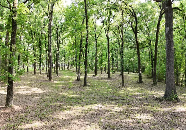 Photo 4 of Land for sale at Lot 62 Anchor Point, Quinlan, TX 75474 | MLS# 21251883 | Listing updated on 2026-08-24
