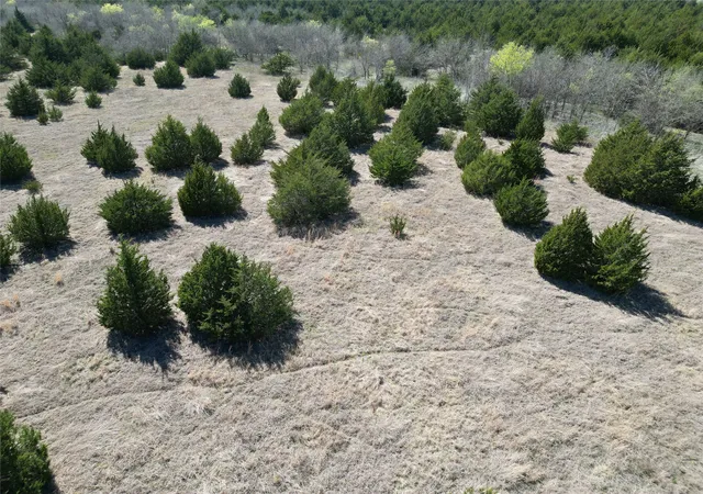 Photo 2 of Land for sale at 999 1 Cr3805, Bailey, TX 75413 | MLS# 21254583 | Listing updated on 2026-07-08