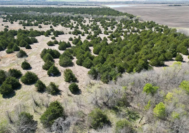 Photo 14 of Land for sale at 999 2 Cr3805, Bailey, TX 75413 | MLS# 21255313 | Listing updated on 2026-07-08