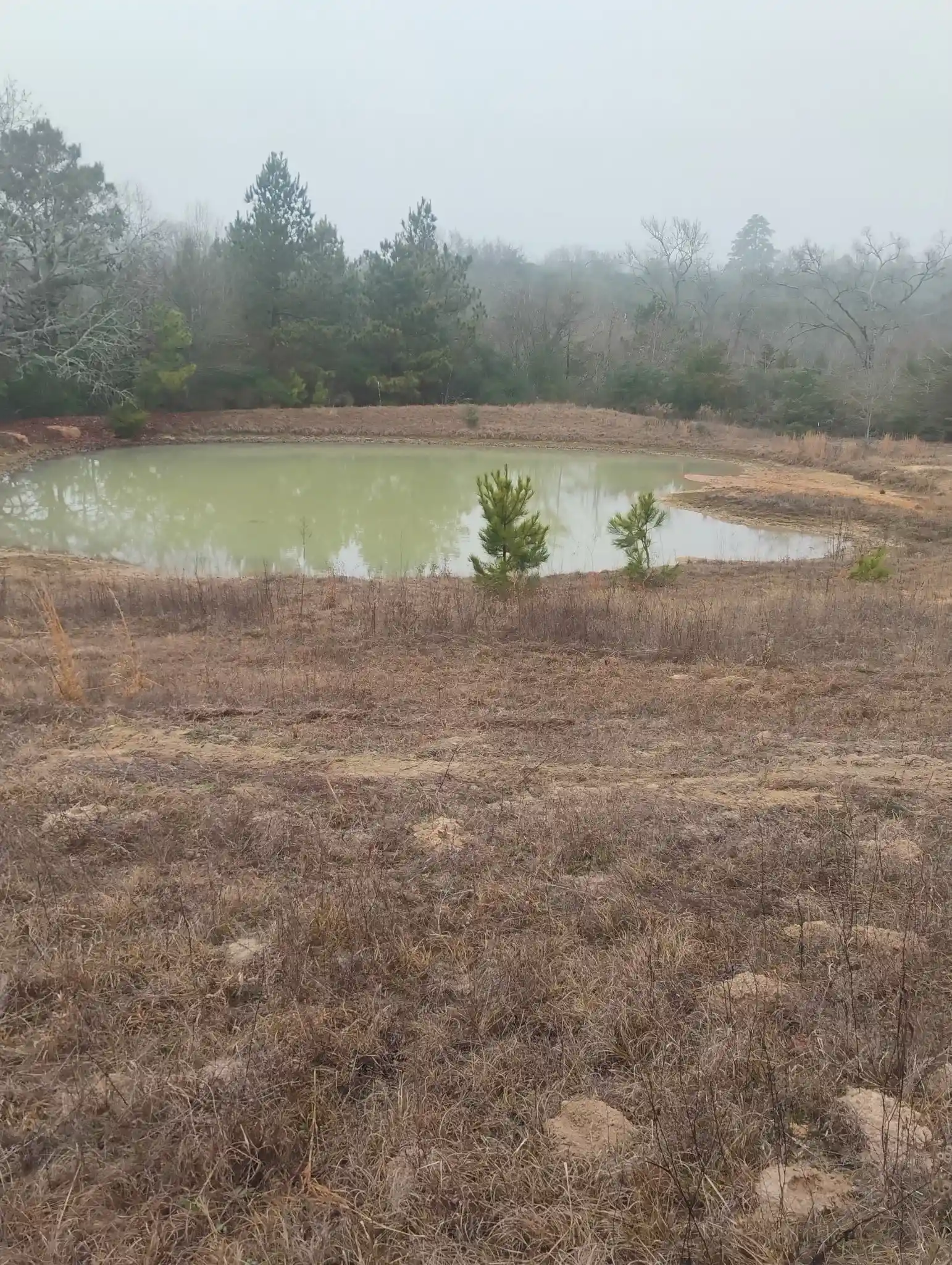Photo 1 of Land for sale at Tbd County Road 204, Centerville, TX 75833 | MLS# 21249518 | Listing updated on 2026-05-01