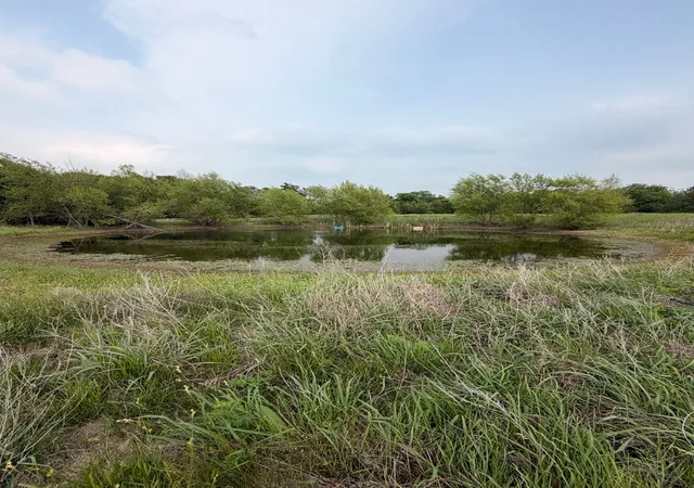 Land for sale at 345 Cr 3346, Hubbard, TX 76648 | MLS# 21255859