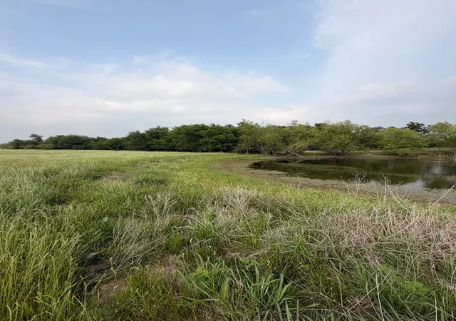 Photo 3 of Land for sale at 345 Cr 3346, Hubbard, TX 76648 | MLS# 21255859 | Listing updated on 2026-07-17