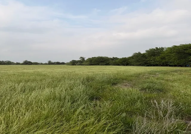 Photo 4 of Land for sale at 345 Cr 3346, Hubbard, TX 76648 | MLS# 21255859 | Listing updated on 2026-07-17