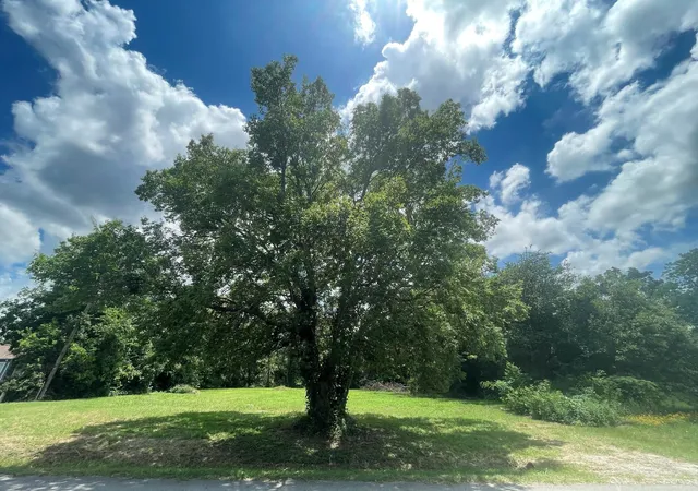 Photo 3 of Land for sale at 1127 W End St, Terrell, TX 75160 | MLS# 21256465 | Listing updated on 2026-07-26