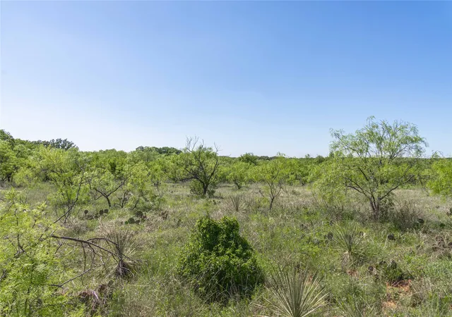Homes for sale in Early, TX | Tbd County Road 372, Early, TX 76802 | MLS# 21256441