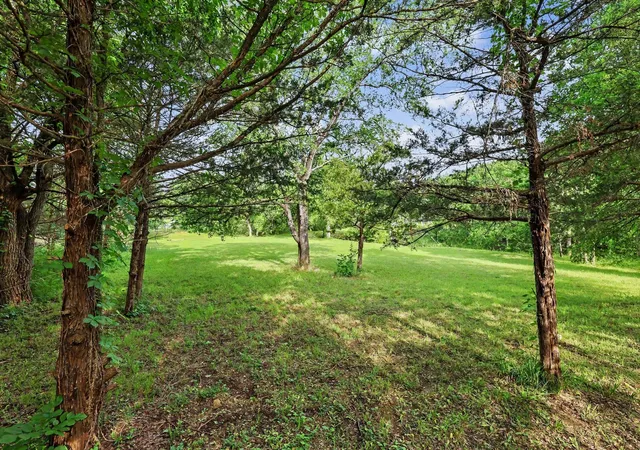 Homes for sale in Pottsboro, TX | Tbd Cherry Tree #398 Ln #974, Pottsboro, TX 75076 | MLS# 21257014