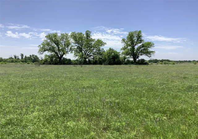 Homes for sale in Carbon, TX | 1625 County Road 281, Carbon, TX 76435 | MLS# 21252751