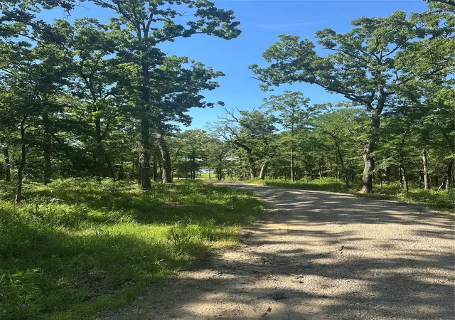 Photo 3 of Land for sale at 14192 Ridge Ln, Malakoff, TX 75148 | MLS# 21258005 | Listing updated on 2026-07-21